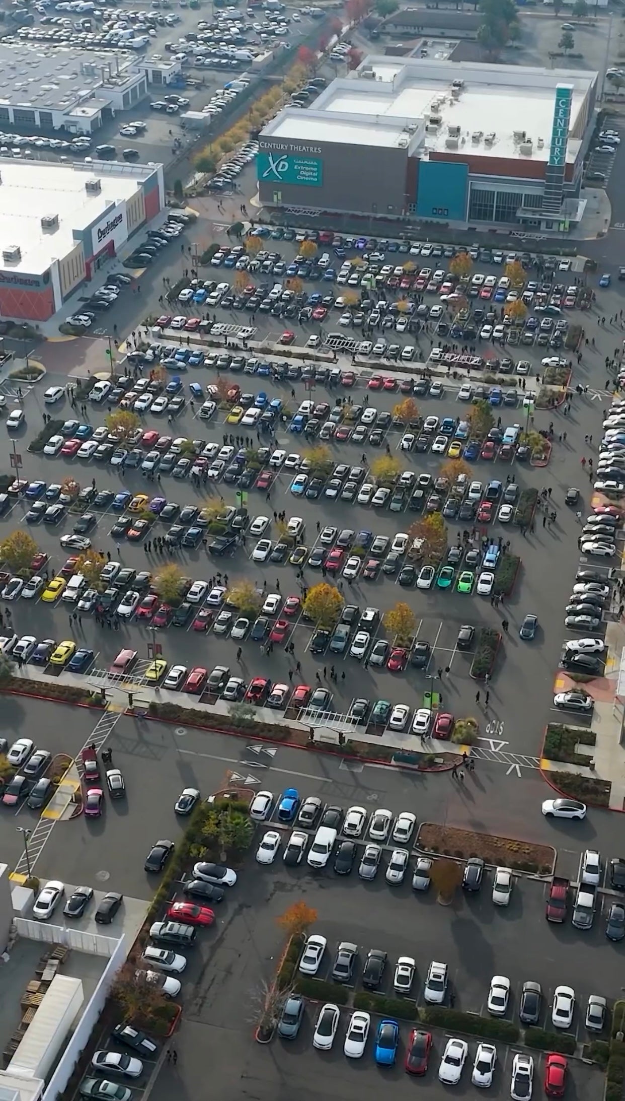 Super Toy Drive Massive Holliday meet